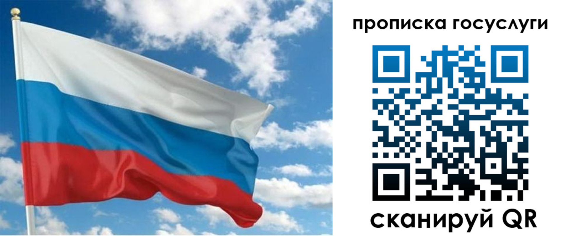 временная регистрация поиск в Ленинградской области